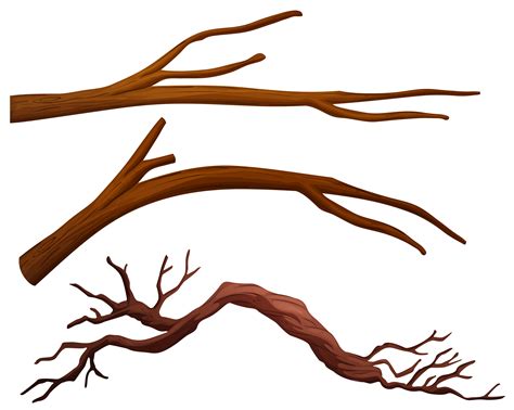 clipart tree branches